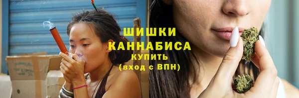 гашик Сосновка