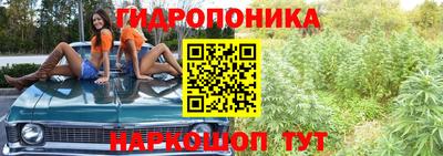 марки lsd Бийск