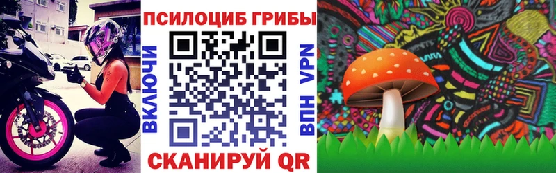 что такое Удомля Псилоцибиновые грибы ЛСД