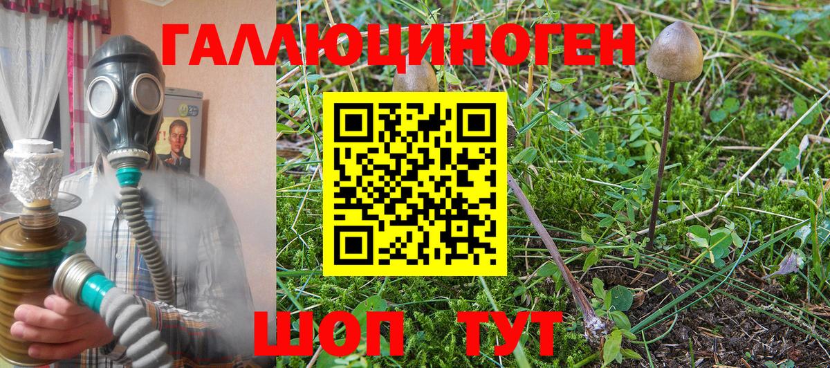 цены наркотик  Вход с VPN  Удомля  Галлюциногенные грибы MAGIC MUSHROOMS 