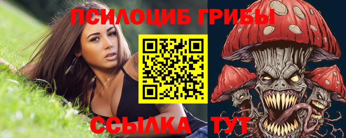 Гашиш  Удомля  Лсд 25  Канабис  Мефедрон кристаллы  Кодеин 