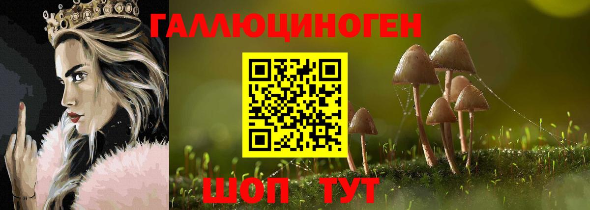 Псилоцибиновые грибы Cubensis Удомля